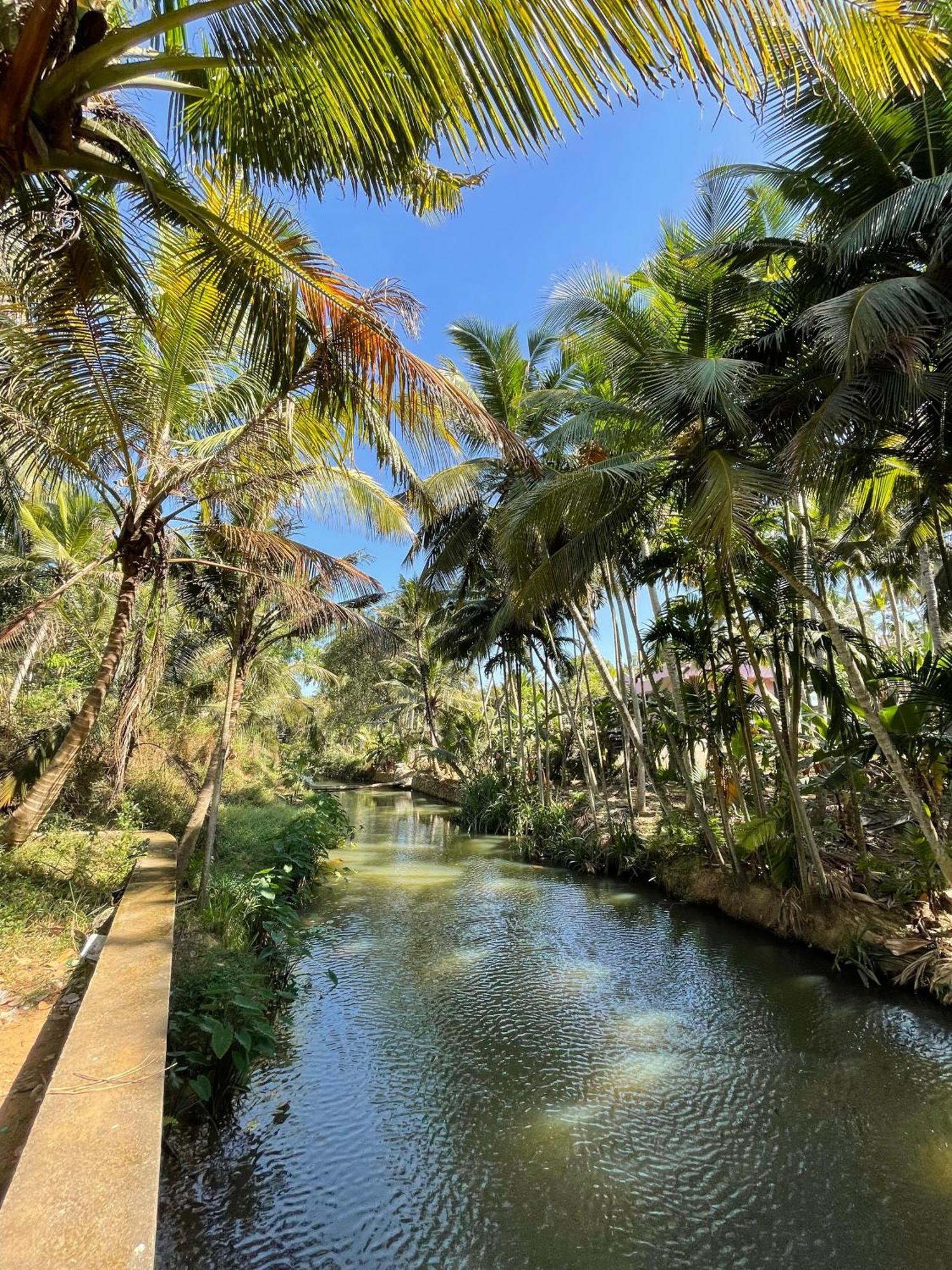 Countryside Inn Tiruvankod المظهر الخارجي الصورة